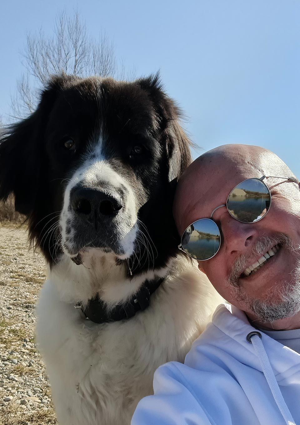 Mensch und Hund gemeinsam im Freien